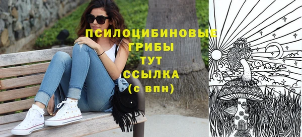 эйфоретик Алексеевка