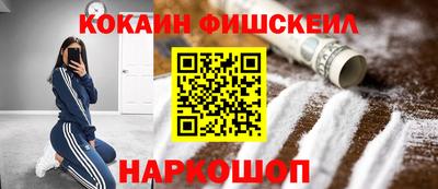 стаф Можга