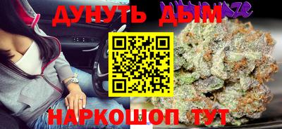 стаф Можга