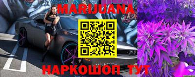 стаф Можга
