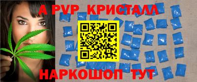стаф Можга