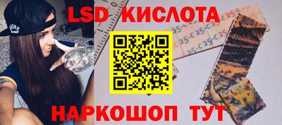 стаф Можга