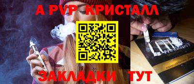стаф Можга