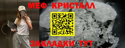 стаф Можга