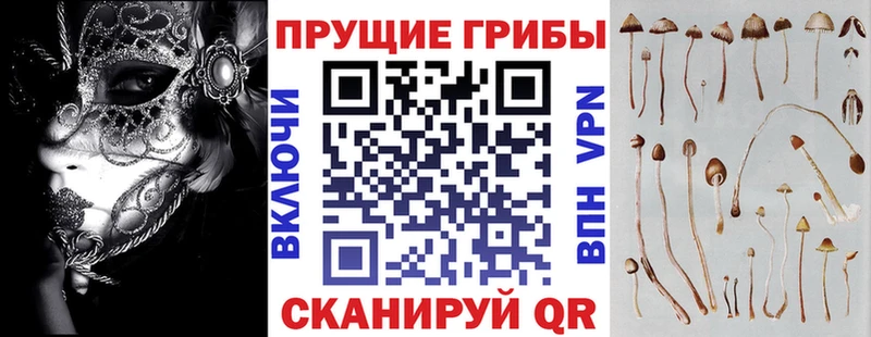 Галлюциногенные грибы GOLDEN TEACHER  ОМГ ОМГ   Обнинск 