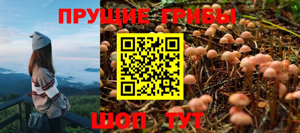 Обнинск  Псилоцибиновые грибы мухоморы  Вход с VPN  Галлюциногенные грибы Psilocybe 